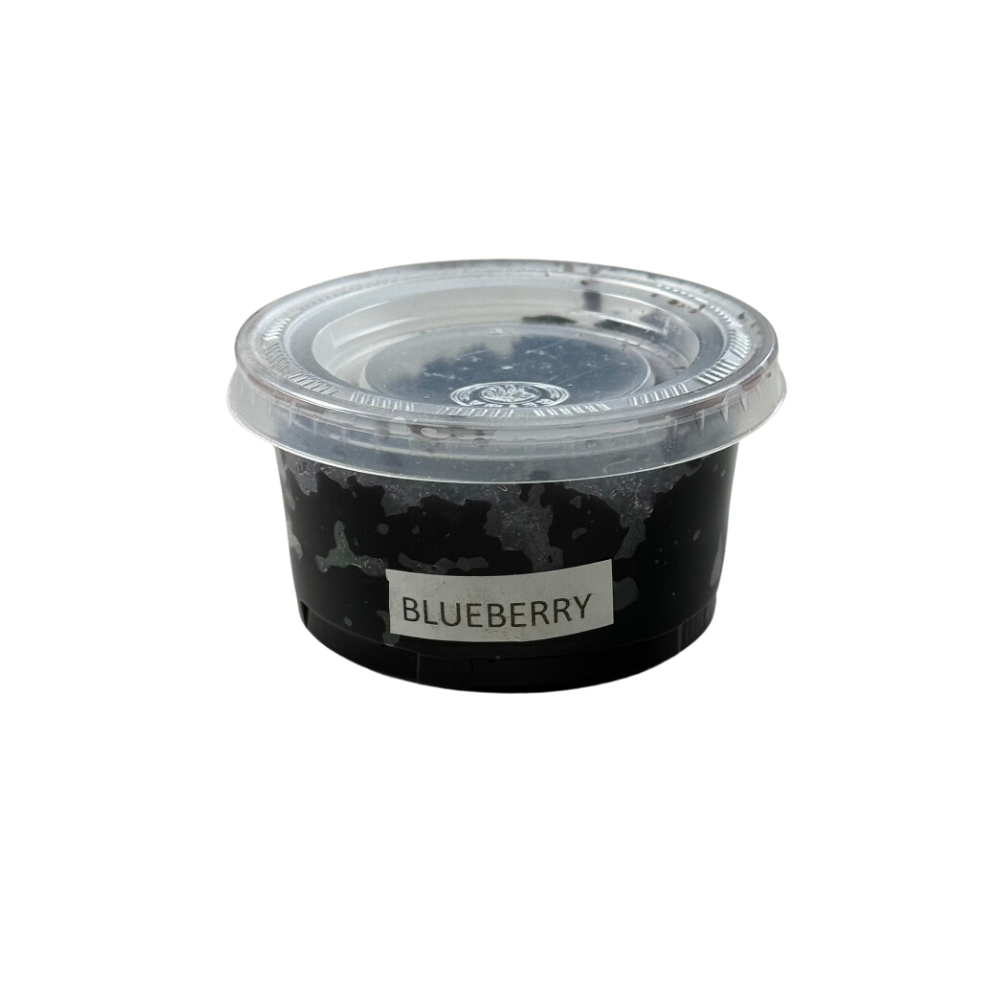 Insumo - Concentrado de Blueberry